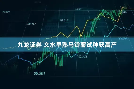 九龙证券 文水早熟马铃薯试种获高产