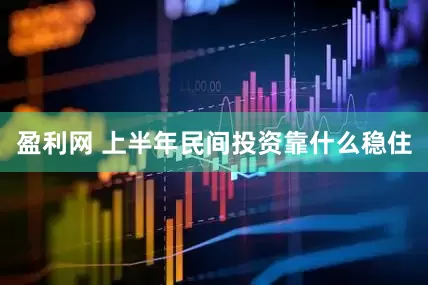 盈利网 上半年民间投资靠什么稳住
