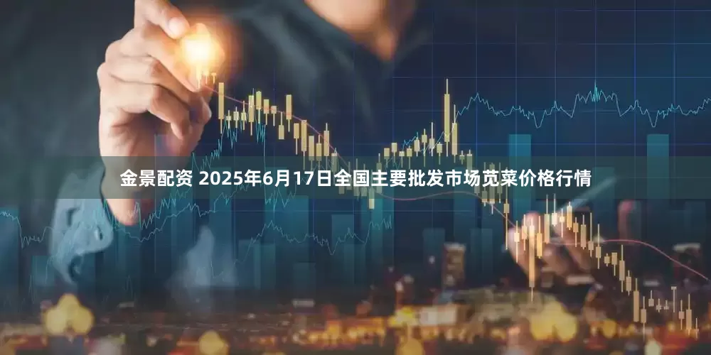 金景配资 2025年6月17日全国主要批发市场苋菜价格行情